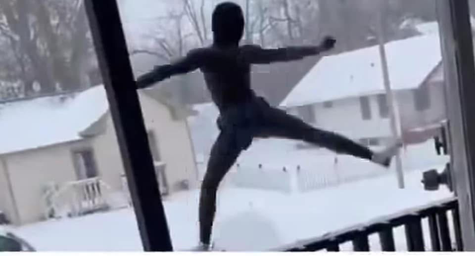 Avatar for @Verdantverse on Greg, the plant care app