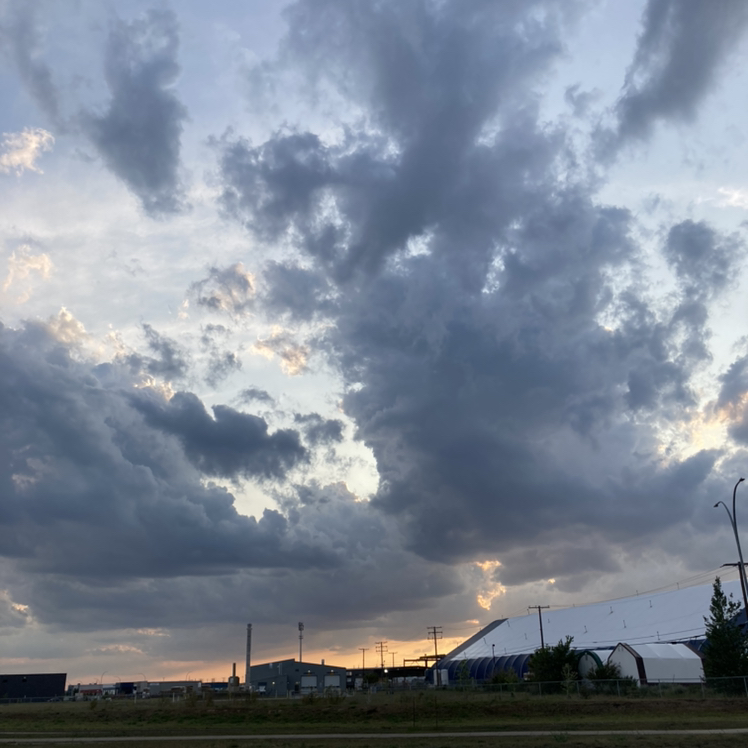 @mesophyllbaybee avatar