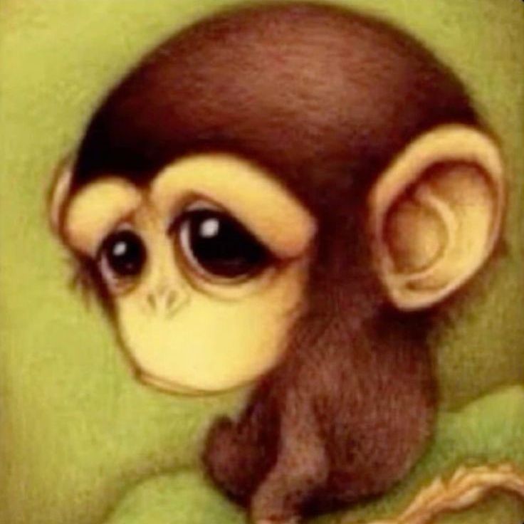 @plantplankton avatar