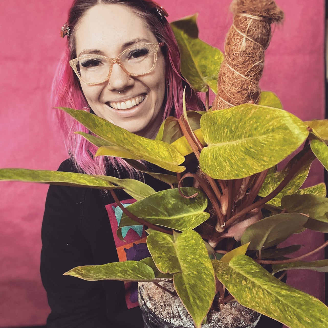 @Theplantypony avatar