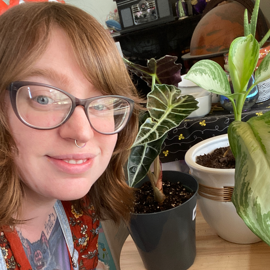 Avatar for @OurLadyUnderground on Greg, the plant care app