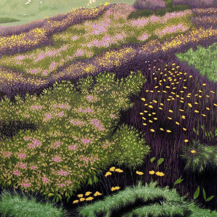 Avatar for @fartdeco on Greg, the plant care app