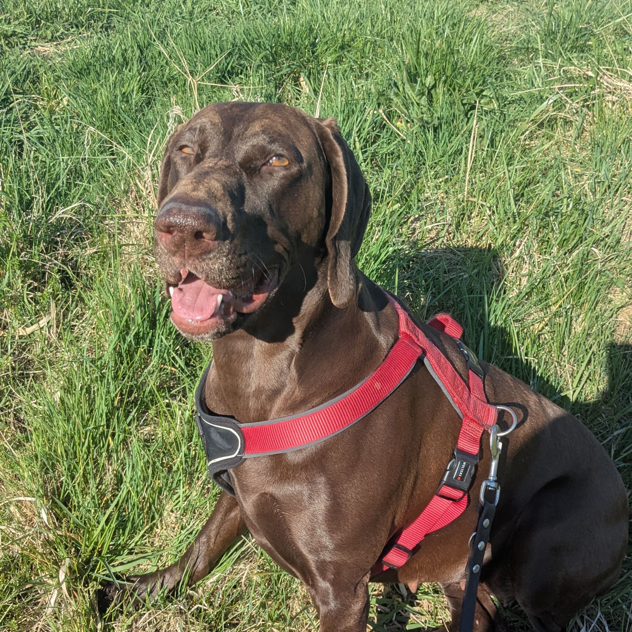 Avatar for @Kajetan on Greg, the plant care app