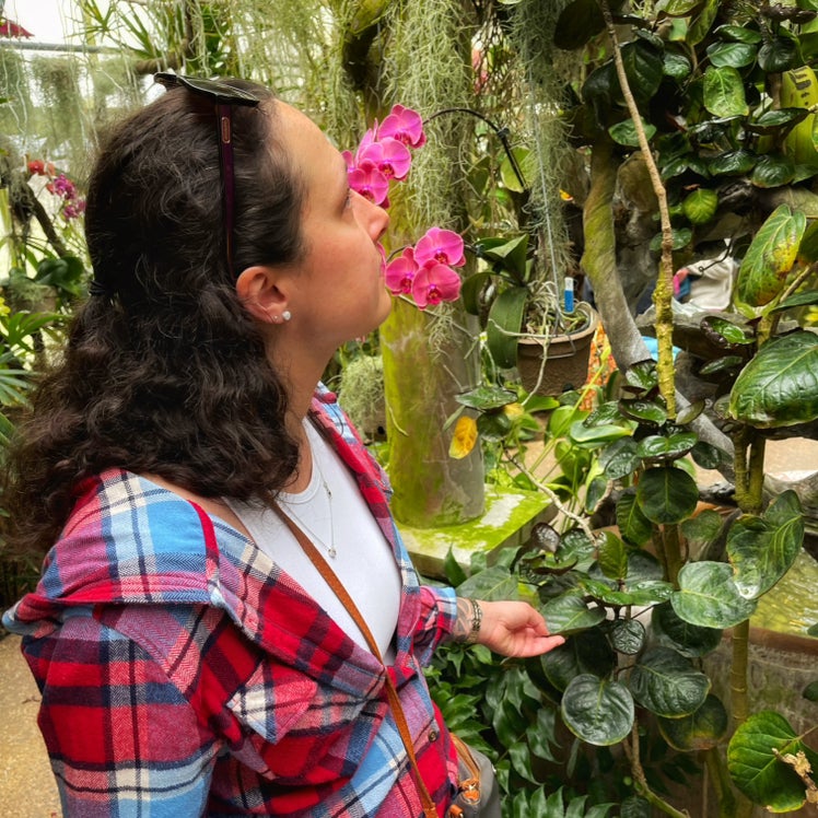 @FavorableCorrea avatar