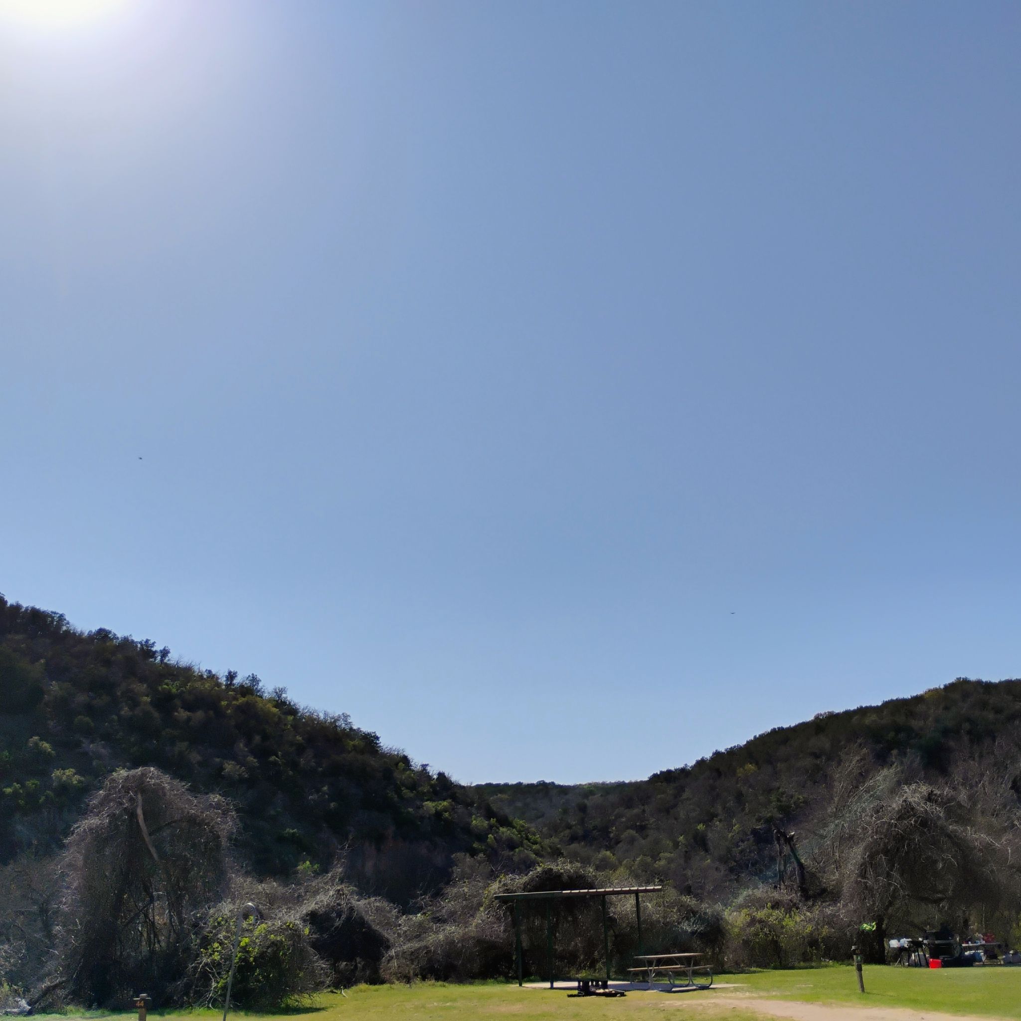 @camdenleyoni avatar