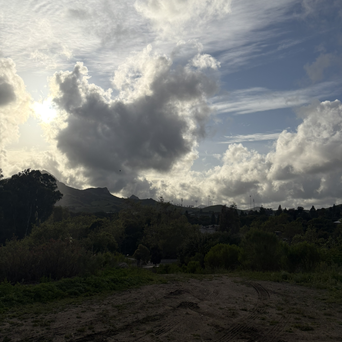 @GemMullein44 avatar