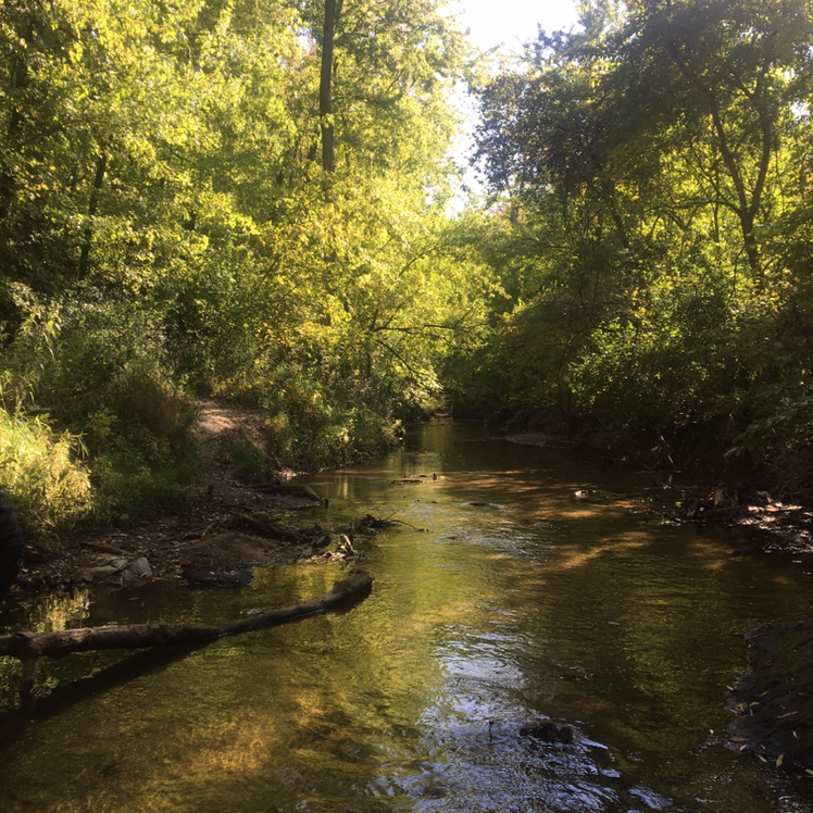 Avatar for Rowan on Greg, the plant care app