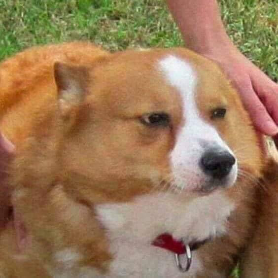 @foldyndramatic avatar