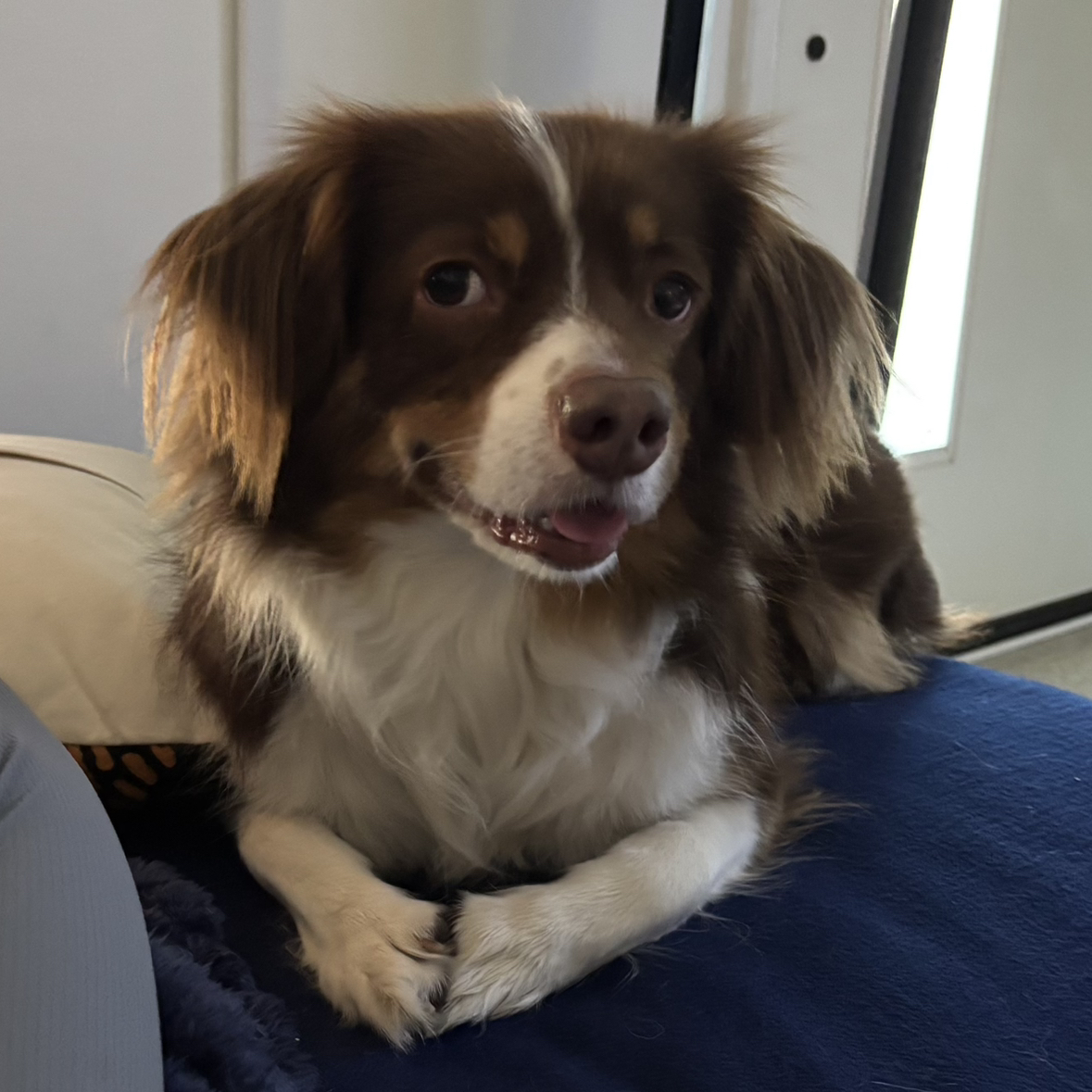 Avatar for @Bexi on Greg, the plant care app