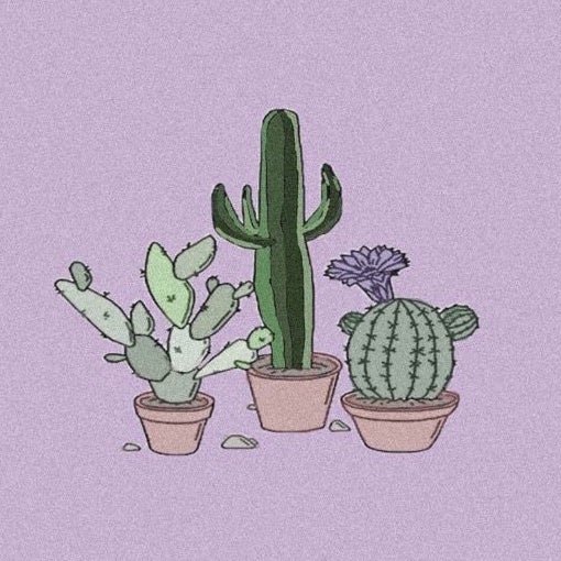 @rileysplants avatar