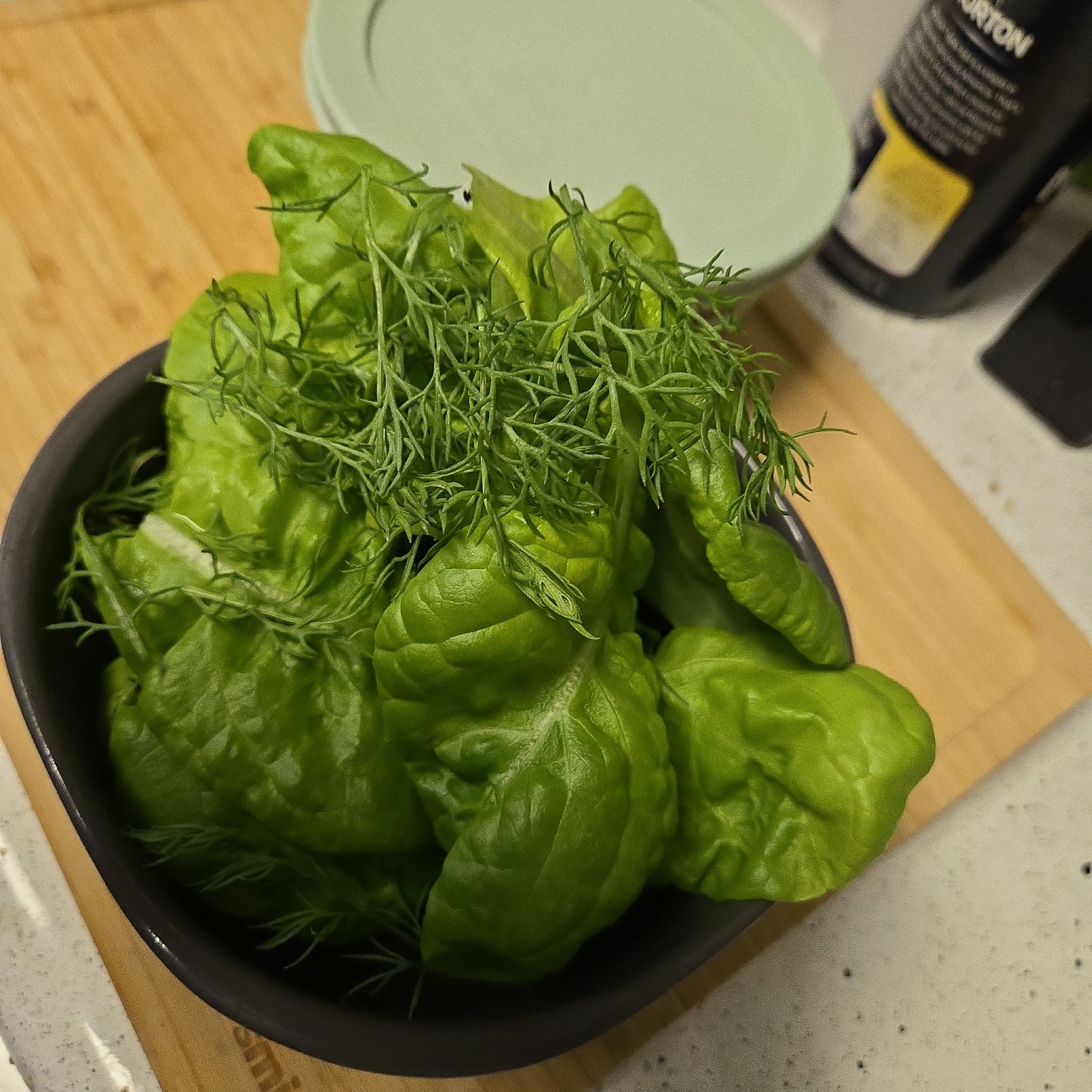 Avatar for @Mahbeans on Greg, the plant care app