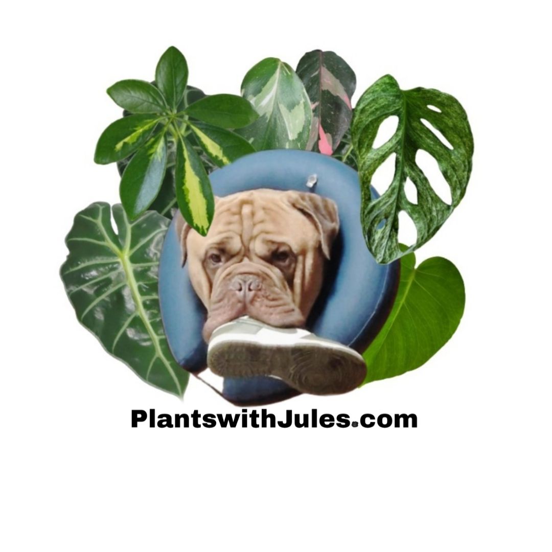 @PlantsWithJules