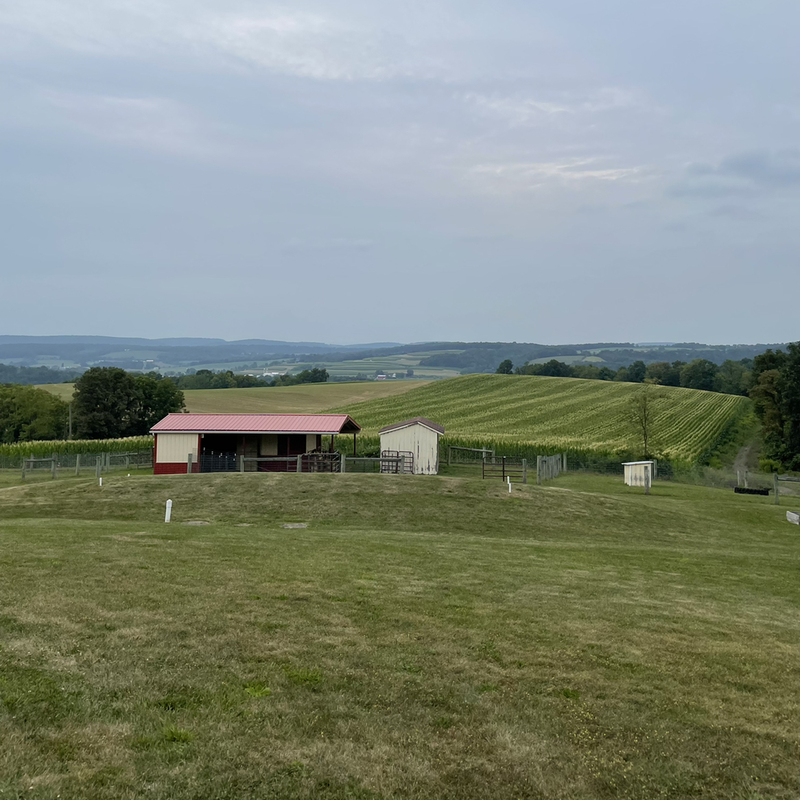 Avatar for @booksandplants on Greg, the plant care app