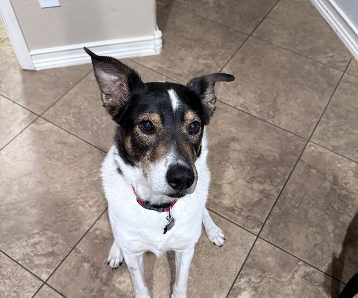 @UntouchedIvy66 avatar