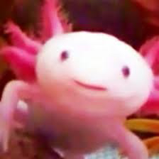 Avatar for @Axolotlthecool on Greg, the plant care app