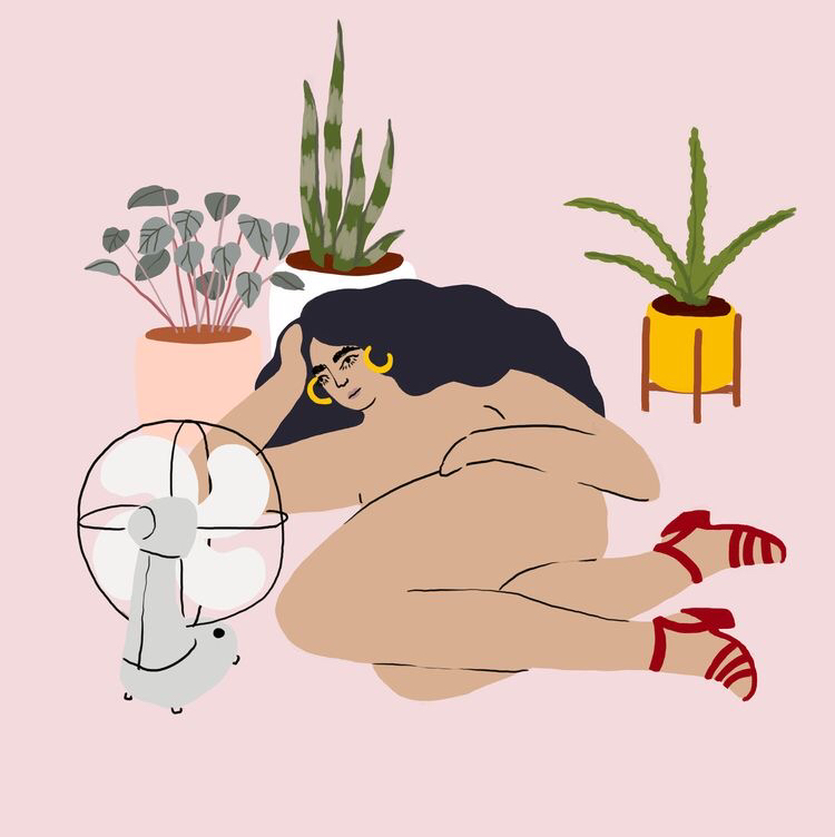 @birdbeebug avatar