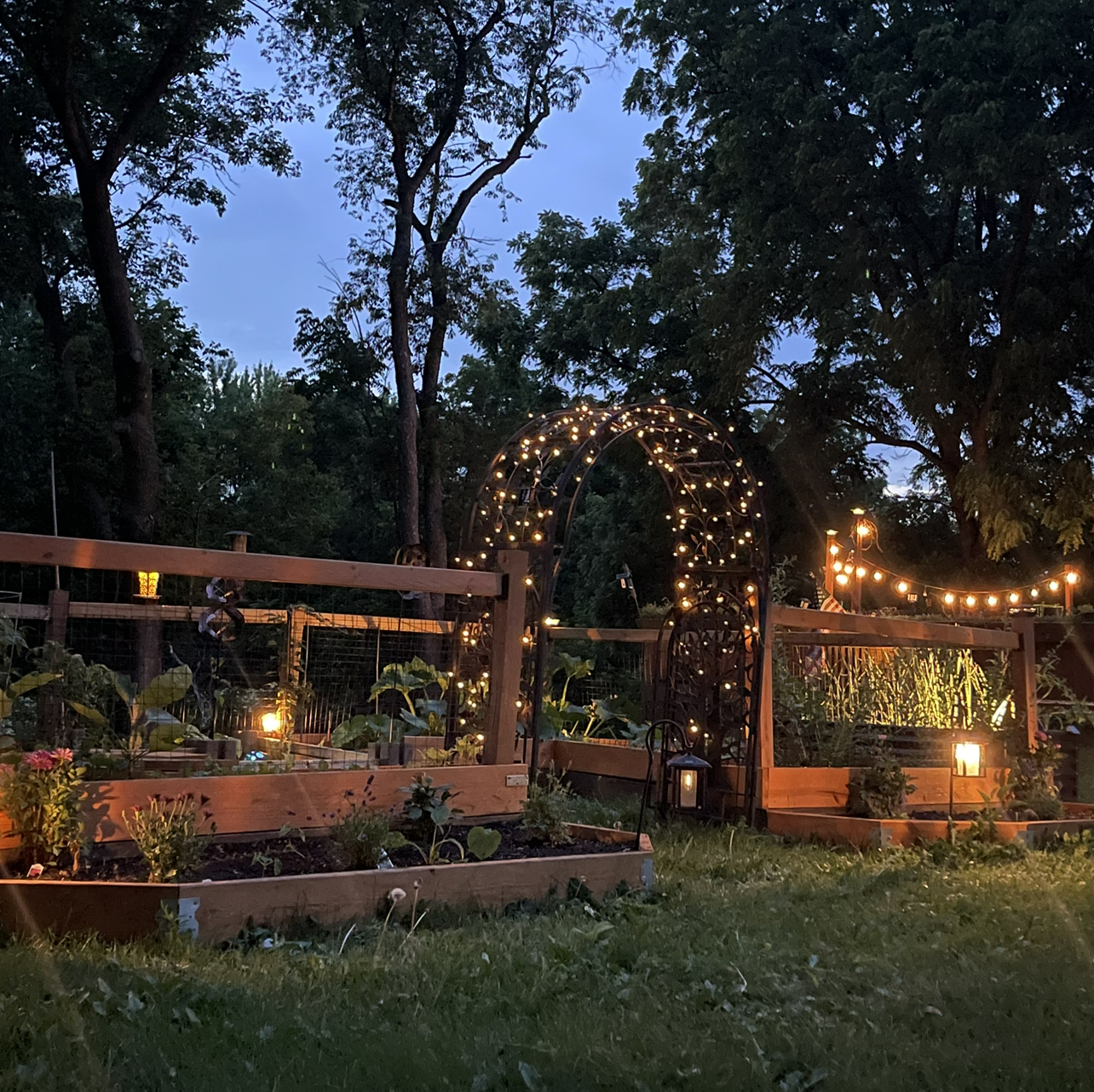 Avatar for @SincerelyQuince on Greg, the plant care app