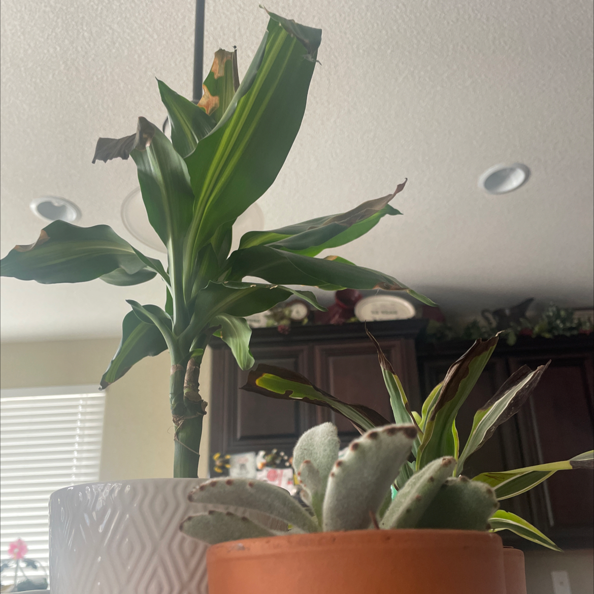 @morribaby666 avatar