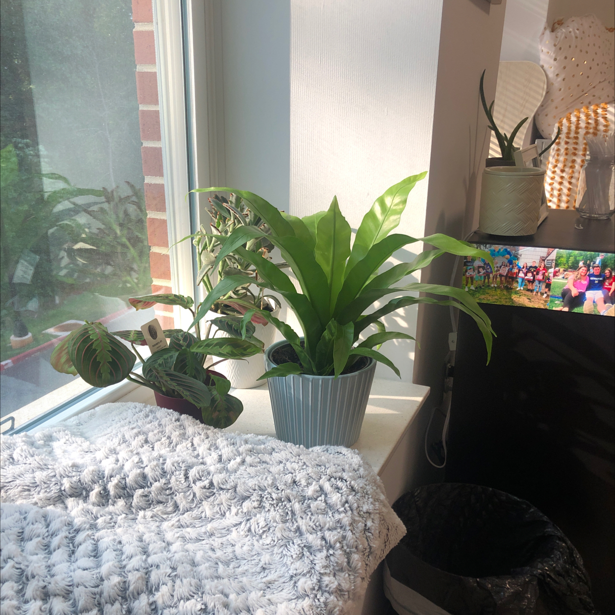 @Singleplantmomy avatar