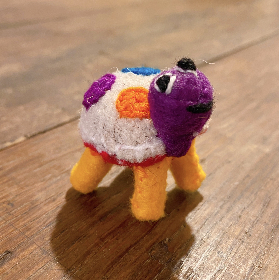 Avatar for Kame on Greg, the plant care app