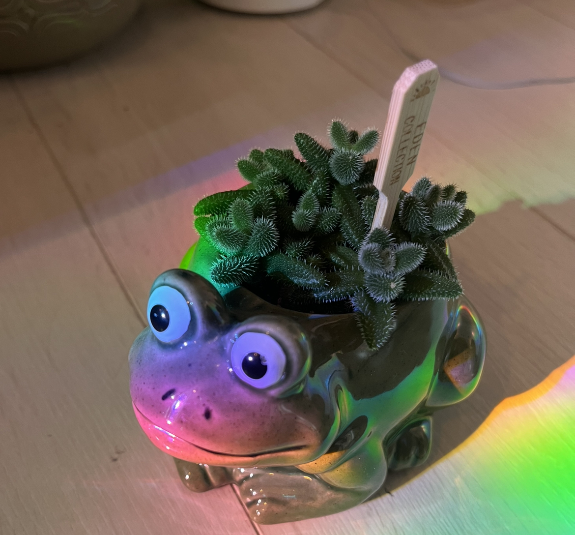 Avatar for @Jadevda2006 on Greg, the plant care app