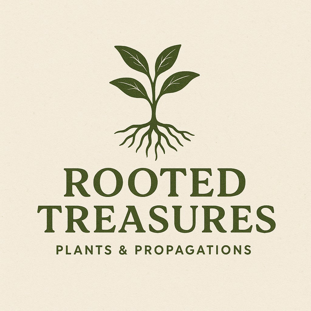 @rootedtreasures avatar