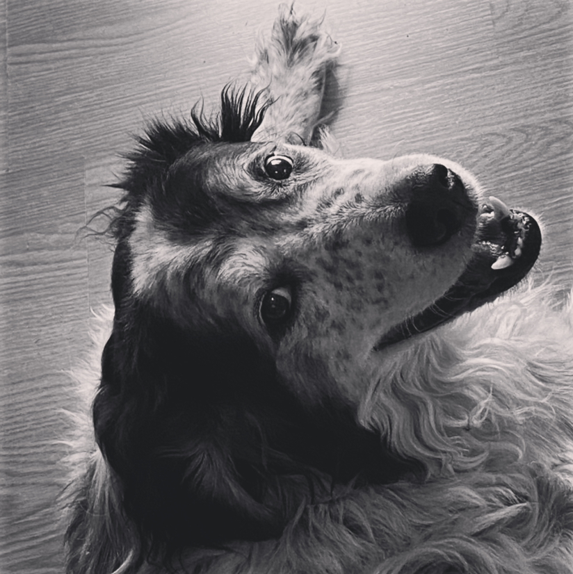 Avatar for @Cowancountry on Greg, the plant care app