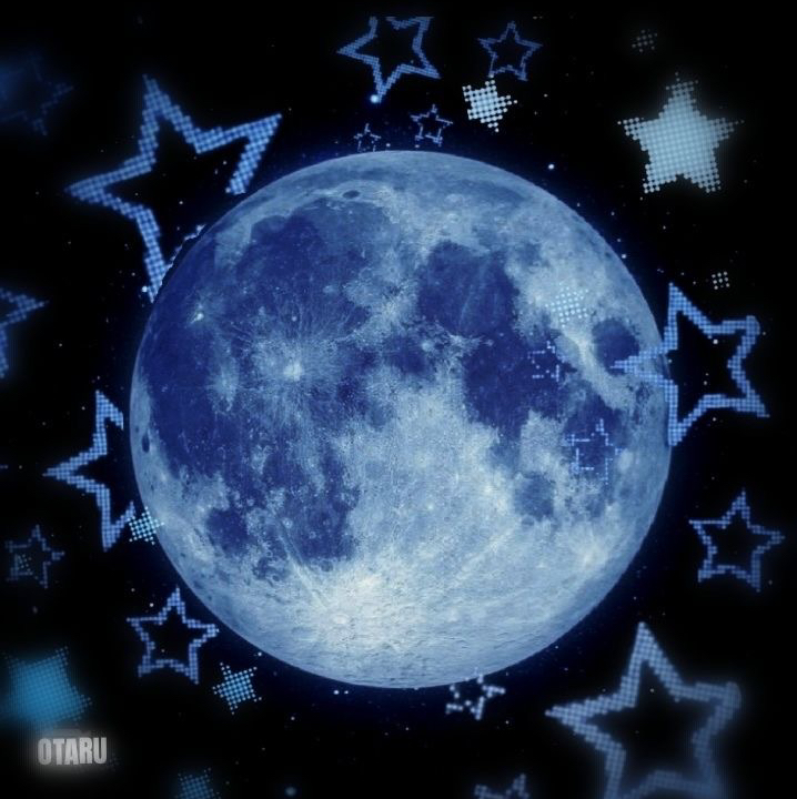 Avatar for @Sal_Fisher on Greg, the plant care app