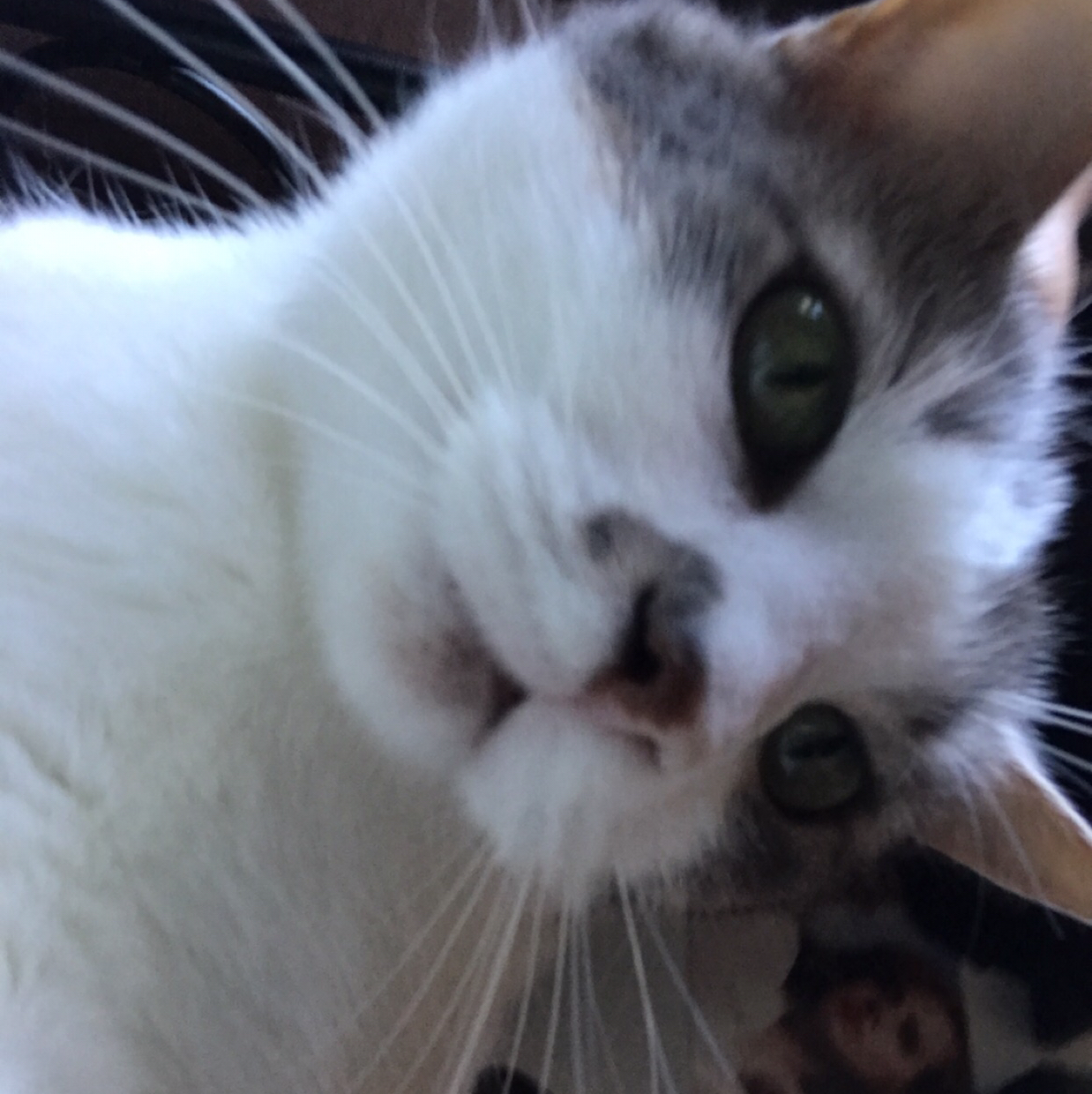 Avatar for @Slurprawn on Greg, the plant care app