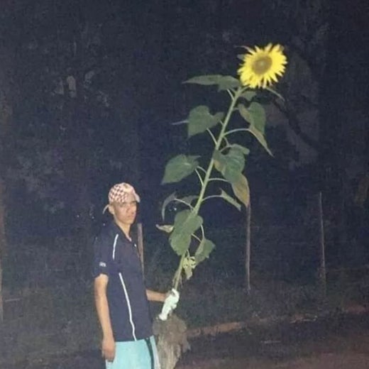 @MaterialCrow avatar