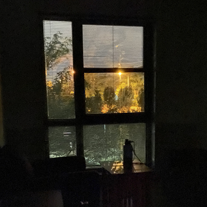 Avatar for @Lemonsunsets on Greg, the plant care app