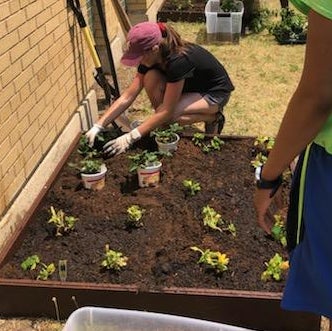 Avatar for @felicia on Greg, the plant care app