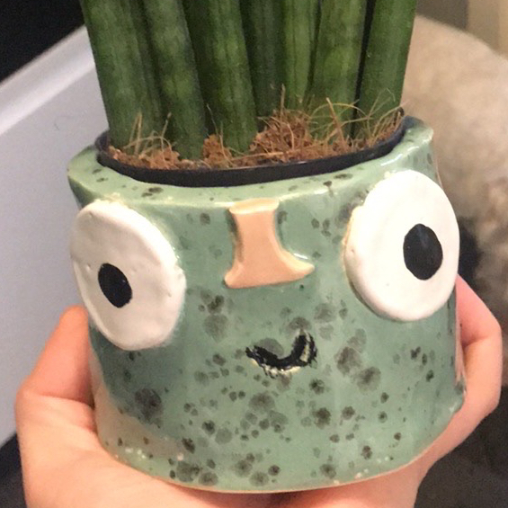 Avatar for @Nolsen on Greg, the plant care app