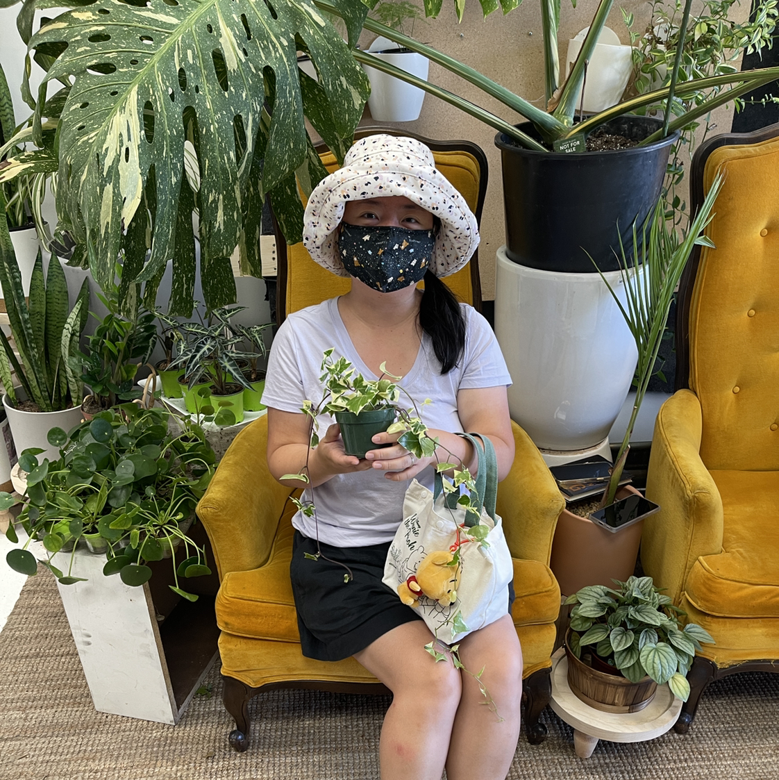 Avatar for @Blzwber on Greg, the plant care app