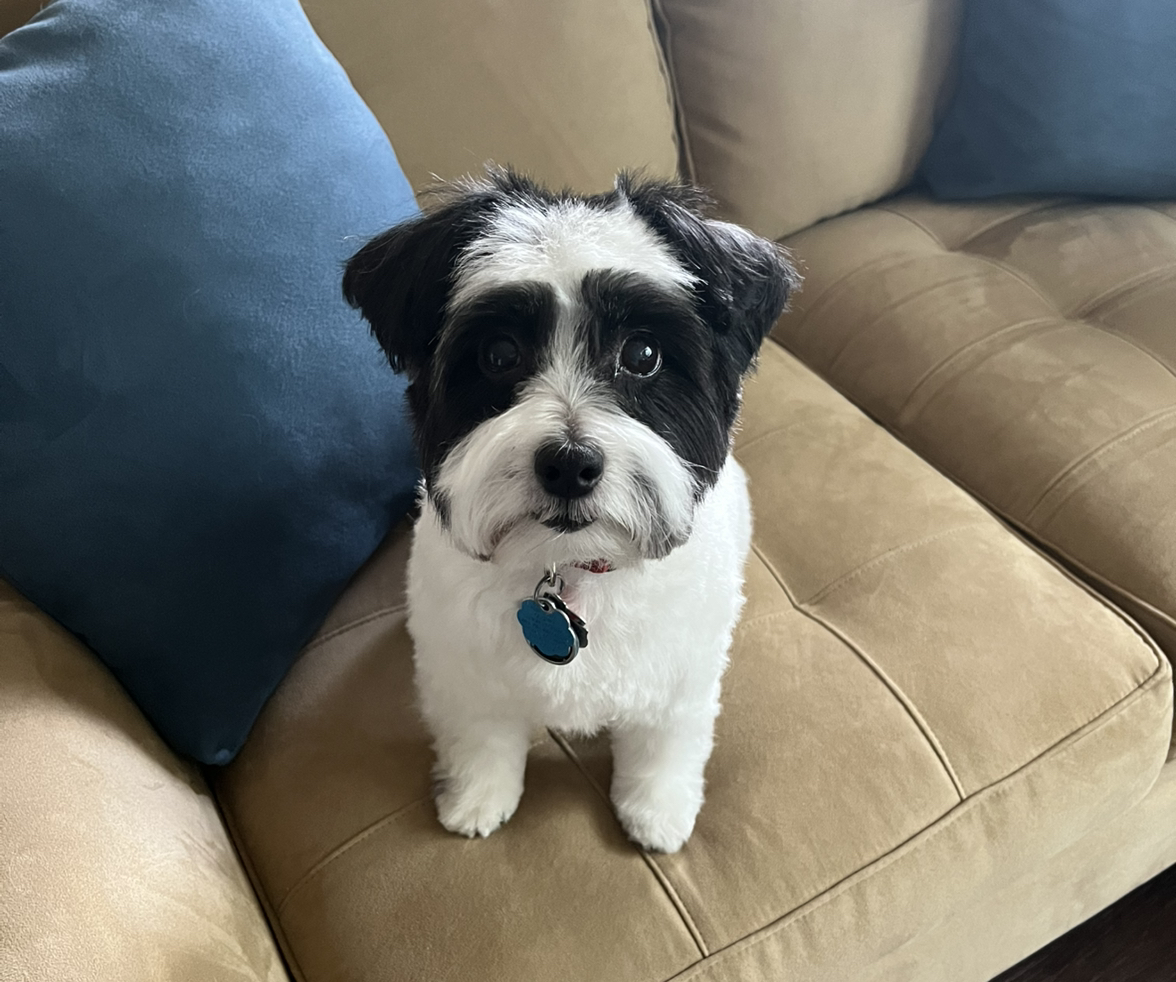 Avatar for @BalancedTaro73 on Greg, the plant care app