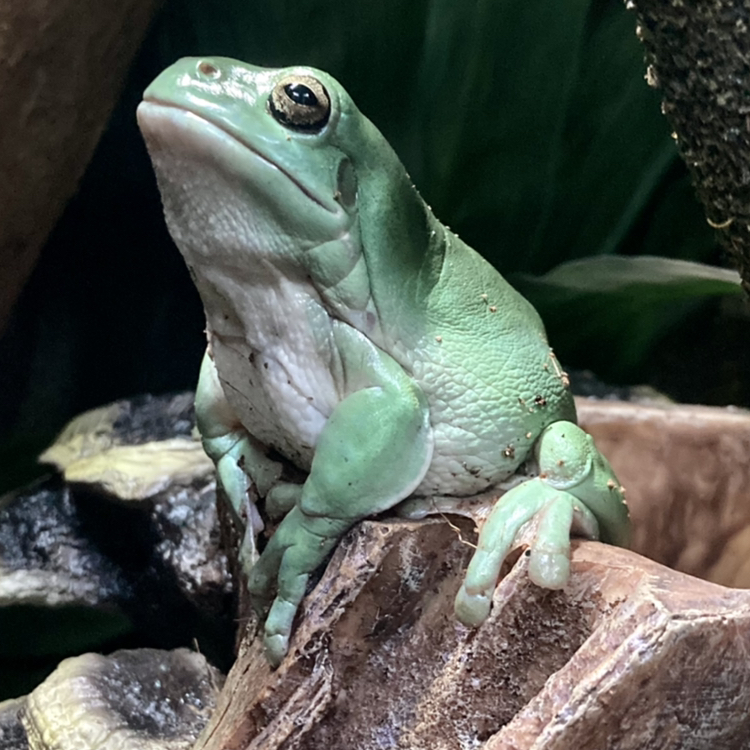 Avatar for @LucyK5 on Greg, the plant care app