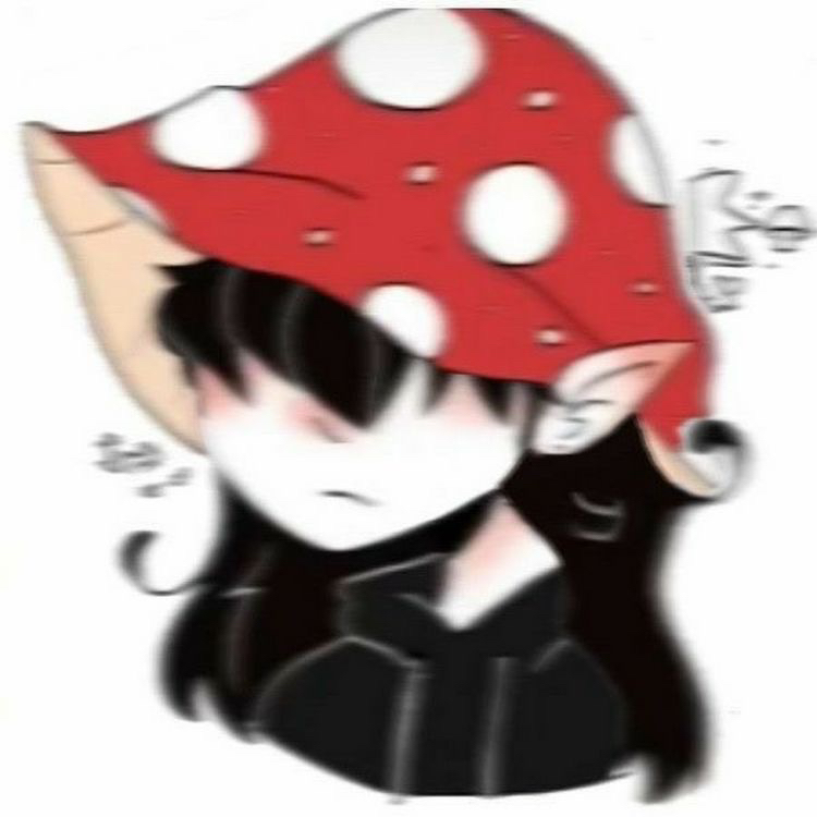 @Bee_yeh avatar