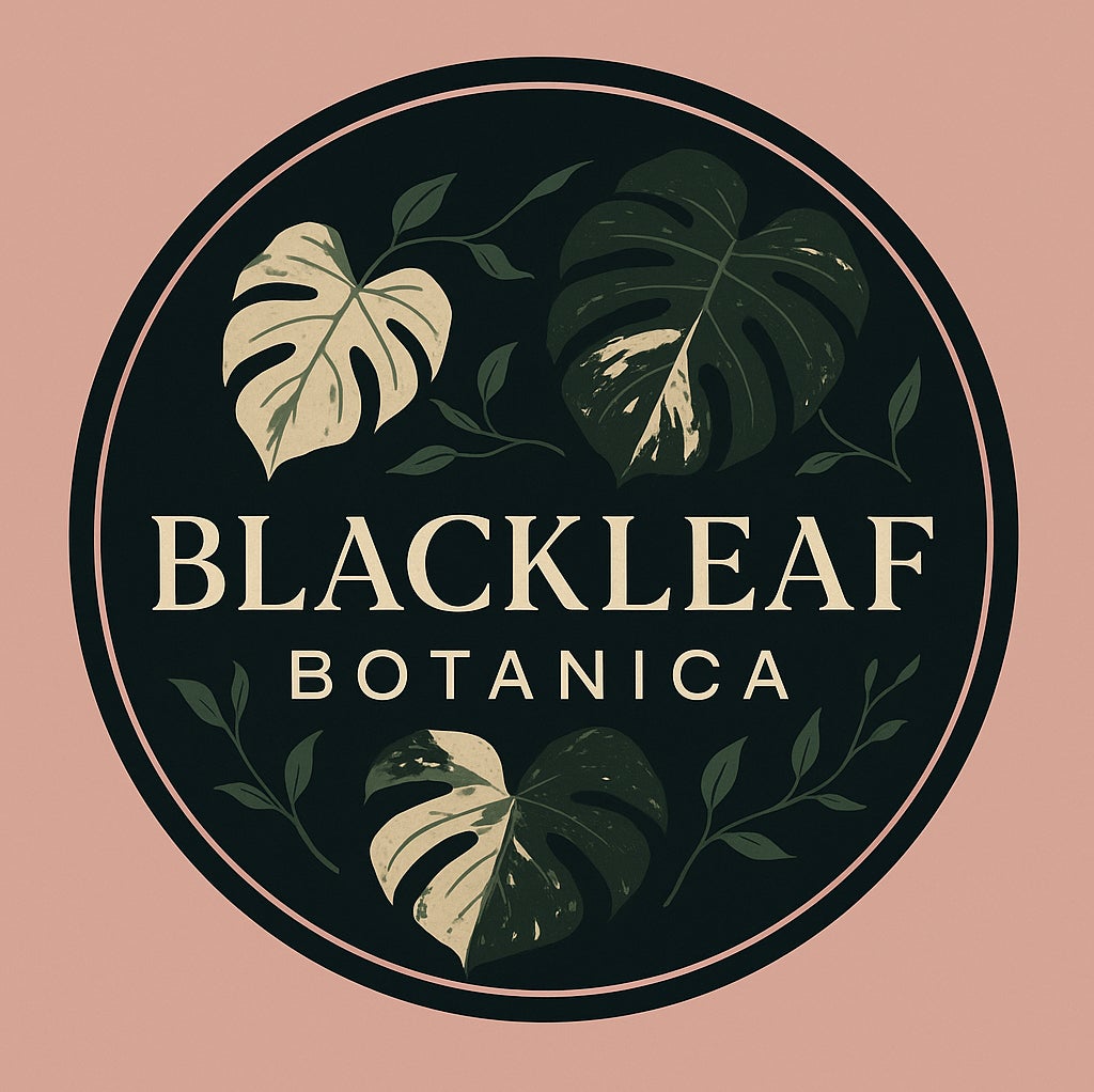 Avatar for @BlkleafBotanica on Greg, the plant care app