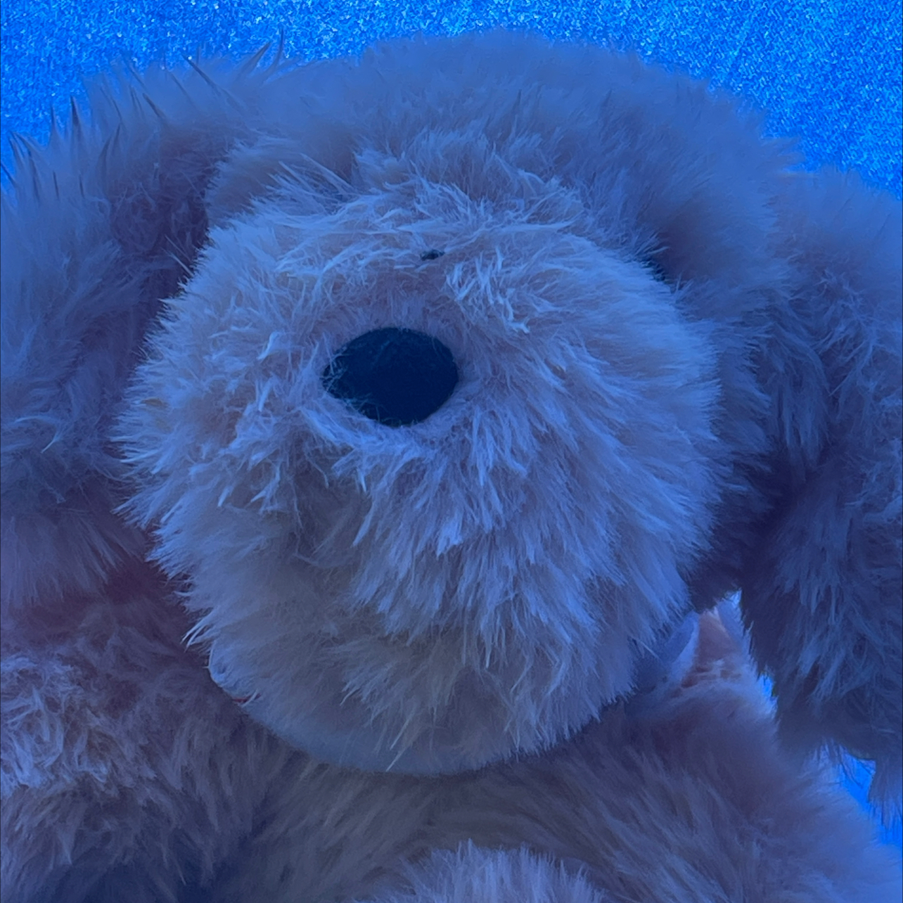 Avatar for @SavvyLavender34 on Greg, the plant care app