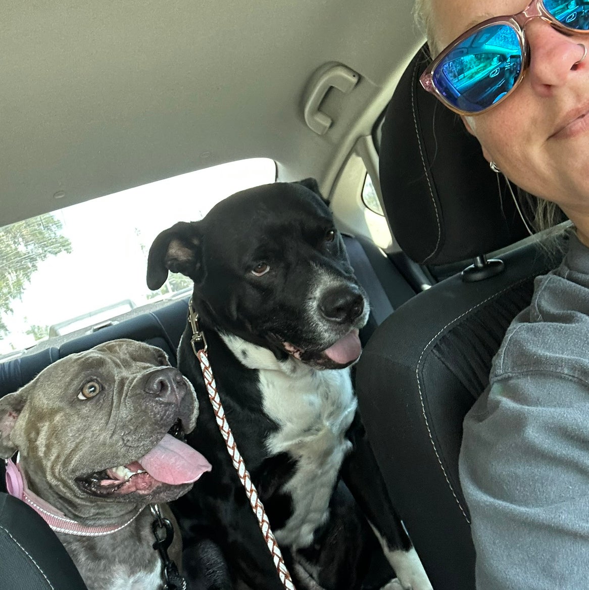 Avatar for @SharpCatgrass31 on Greg, the plant care app