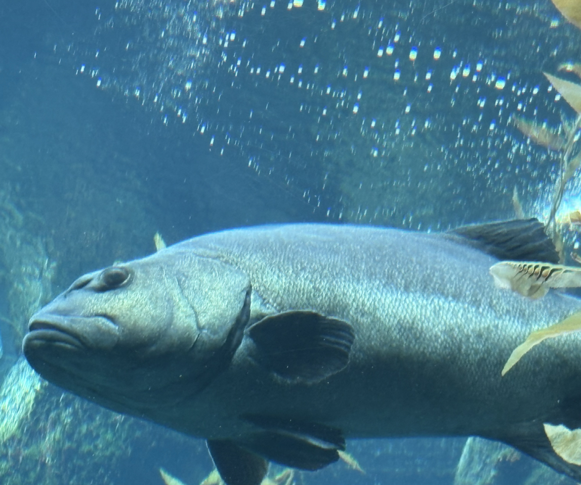 @LuminousSedum35 avatar