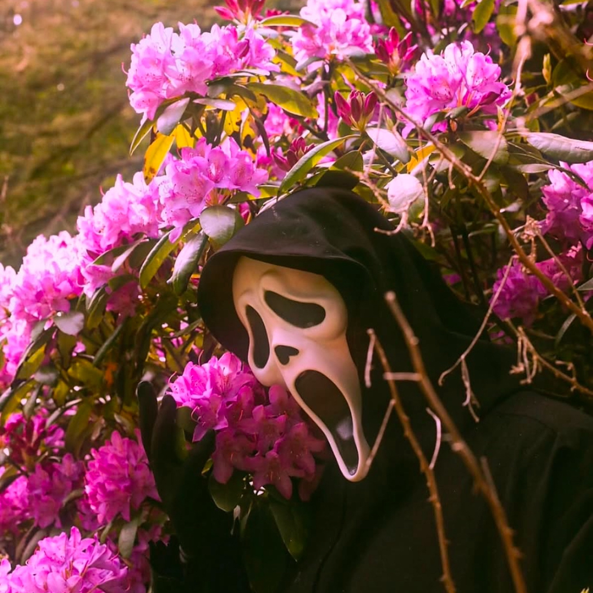 Avatar for @SwampWitch on Greg, the plant care app