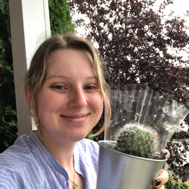 @Beatricenolet avatar