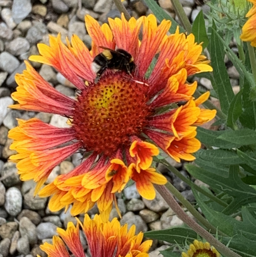 @PlantLover22