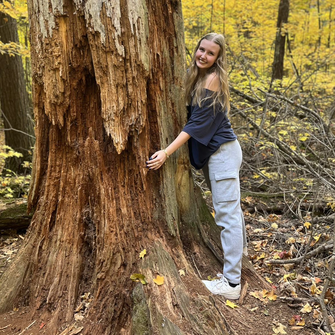 @n3rf.or.nothing avatar