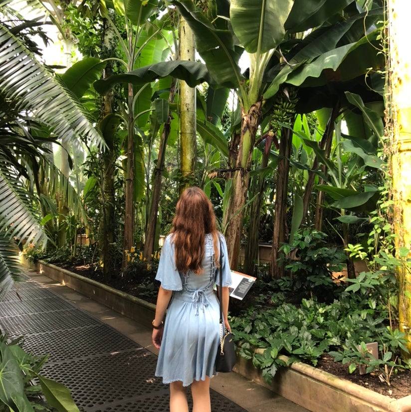 Avatar for Yvette on Greg, the plant care app