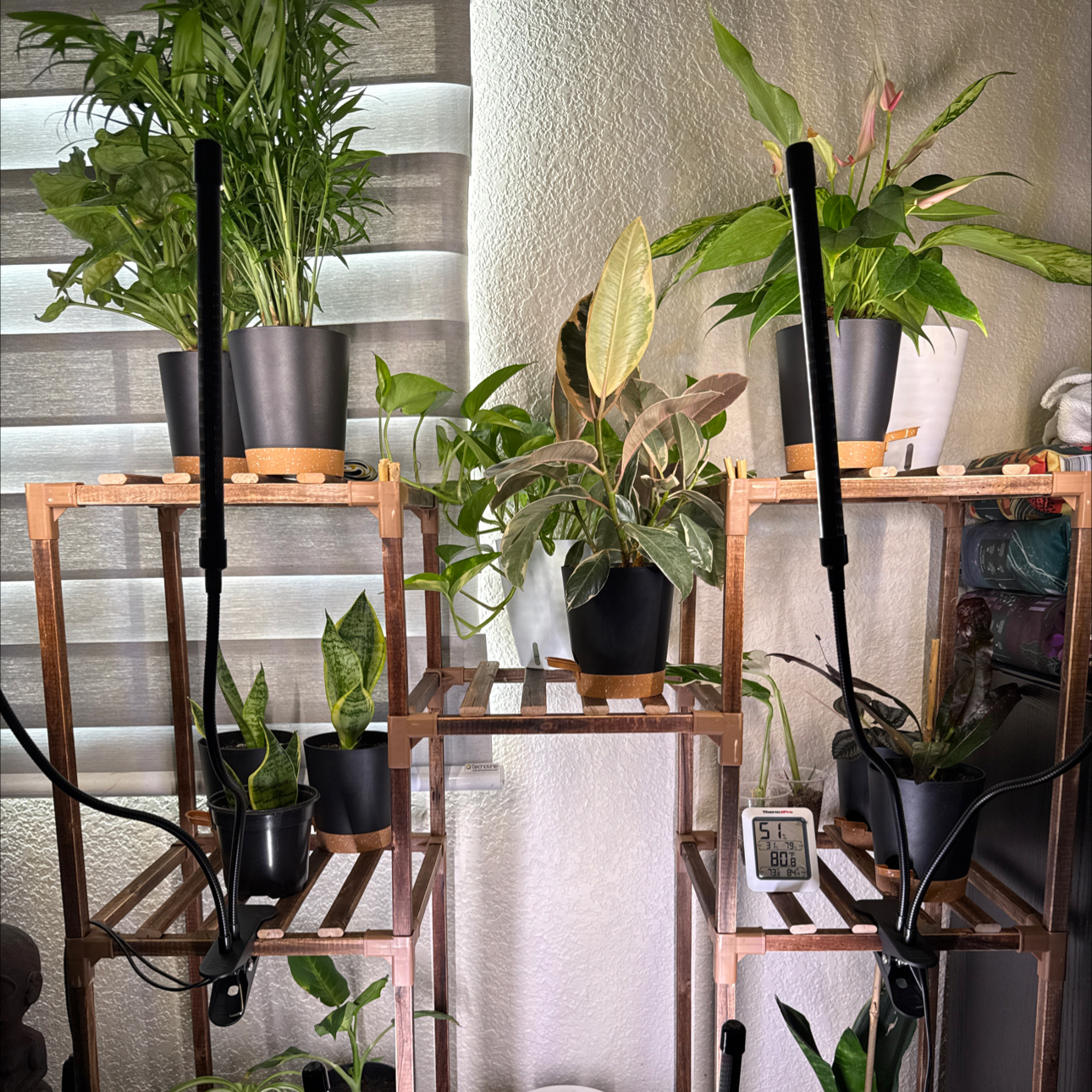 Avatar for @JSC1388 on Greg, the plant care app