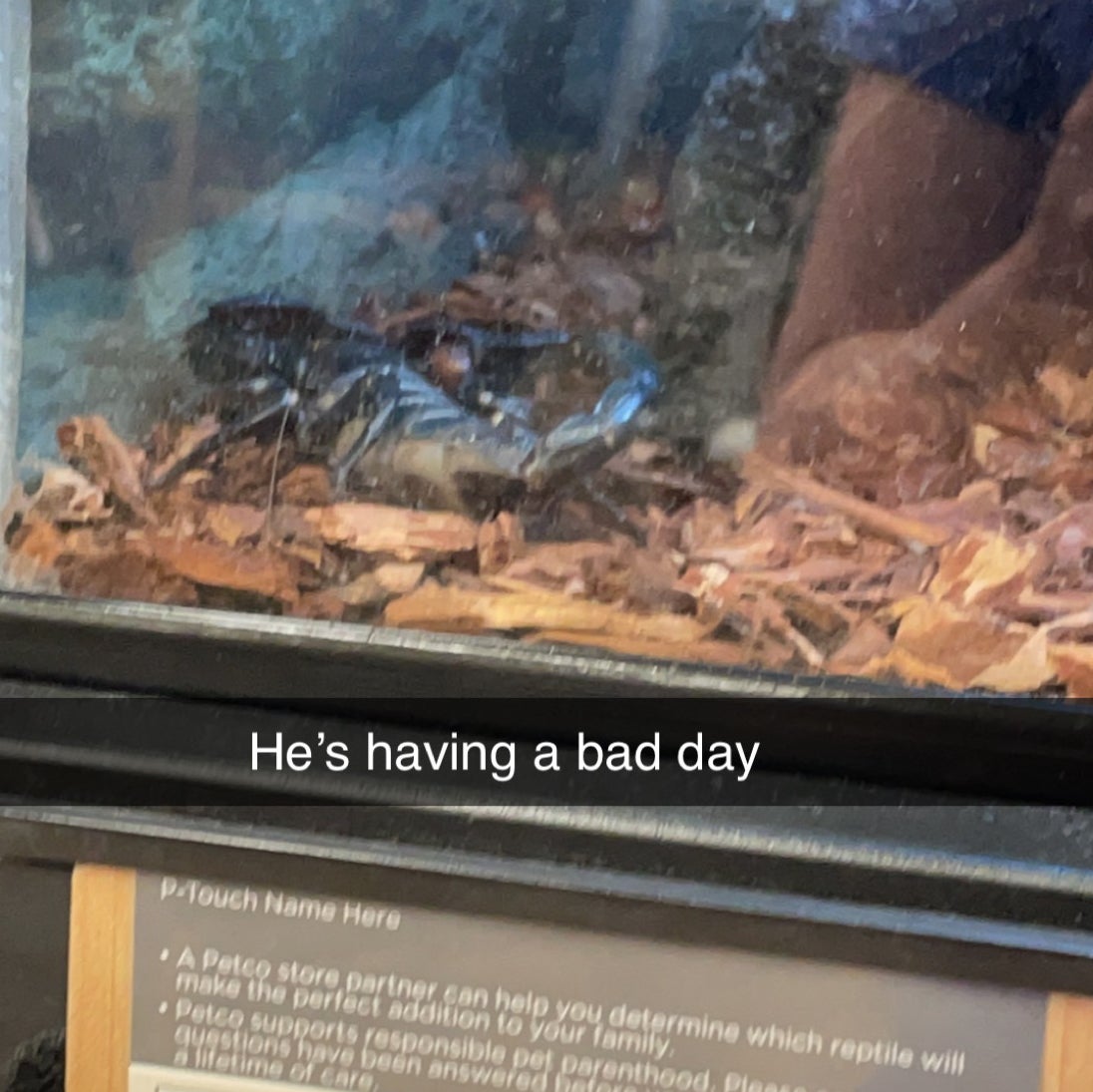 Avatar for @Apollo_ on Greg, the plant care app