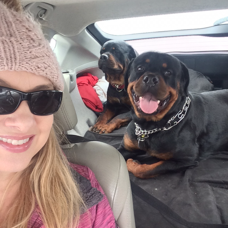 Avatar for @Sharon67 on Greg, the plant care app