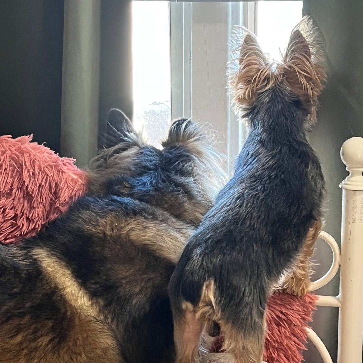 Avatar for @HipAnahaw34 on Greg, the plant care app